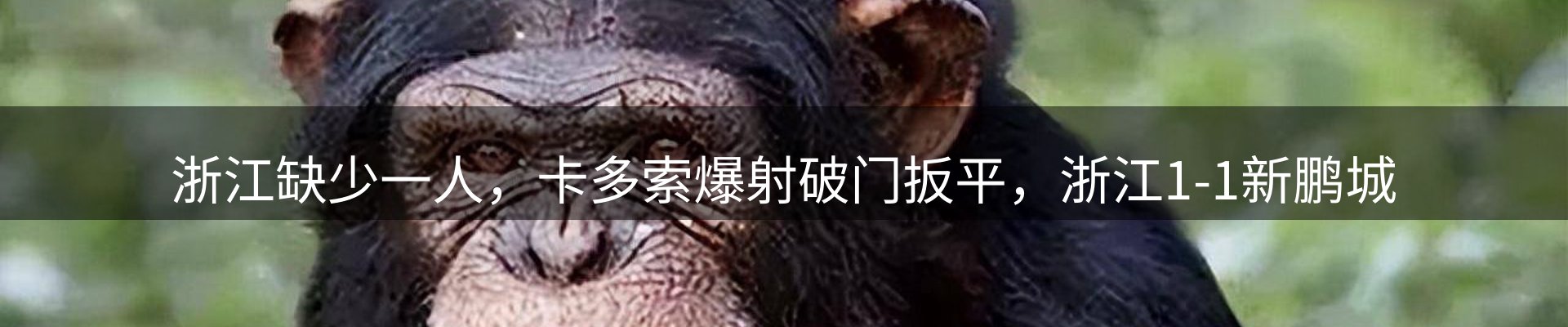新闻阵地